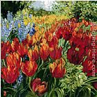 Bobbie Burgers Canvas Paintings - Tulips